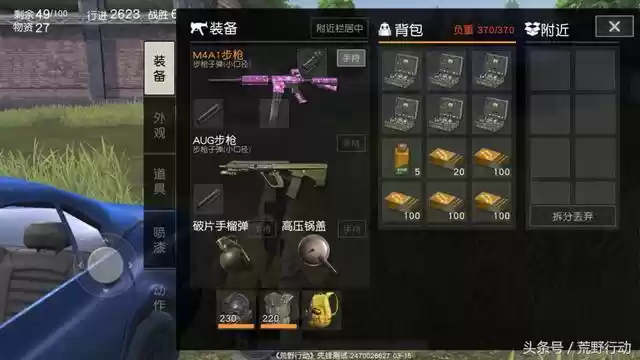 专业后勤保障 移动的四级包！揭秘荒野行动最强队友养成指南
